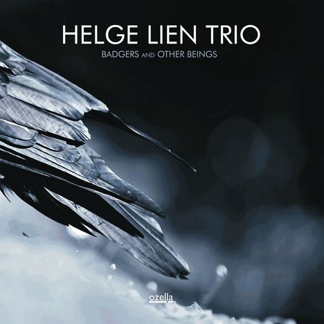 Helge Lien (geb. 1975): Badgers And Other Beings (180g) (Limited Edition), LP