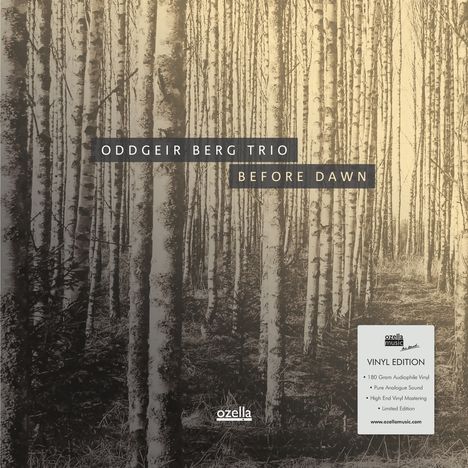 Oddgeir Berg: Before Dawn (180g) (Limited Edition), LP
