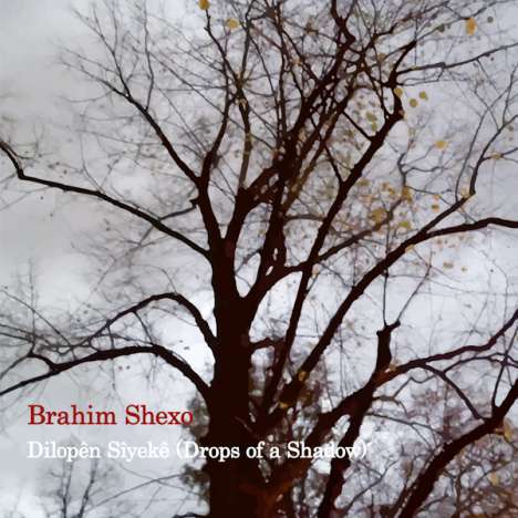 Brahim Shexo (geb. 1981): Dilopen Siyeke (Drops of a Shadow), CD