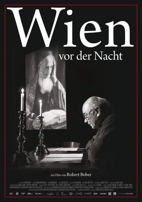 Wien vor der Nacht, DVD