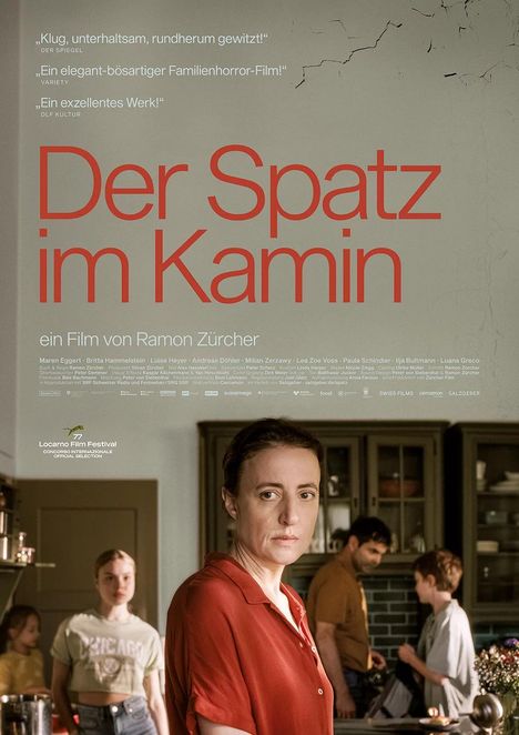 Der Spatz im Kamin, DVD