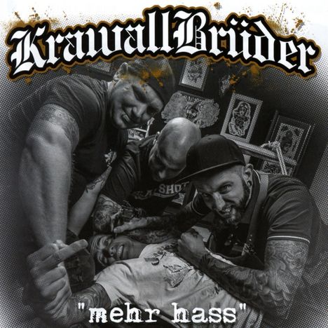 Cover/Produkt Ansicht vergrößern