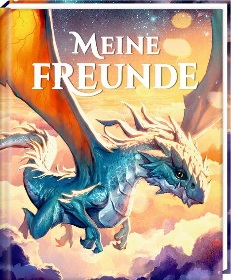 Freundebuch - Meine Freunde, Buch