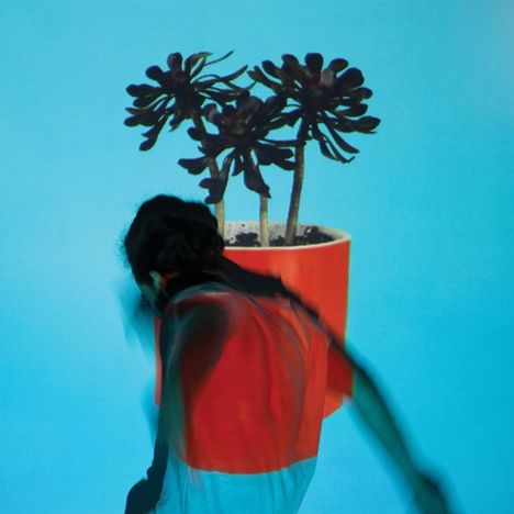Local Natives: Sunlit Youth, CD