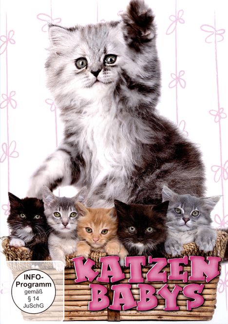 Katzenbabys, DVD