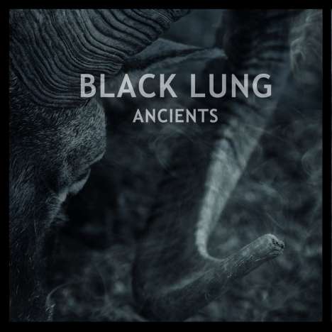Black Lung: Ancients (Marbled Grey Vinyl) (+Poster), LP