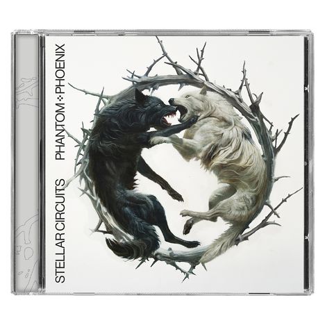 Cover/Produkt Ansicht vergrößern