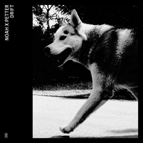 Links steht "NOAH X PETTER DRIFT". Ein großer Hund läuft auf einer Straße, schwarz-weiß.