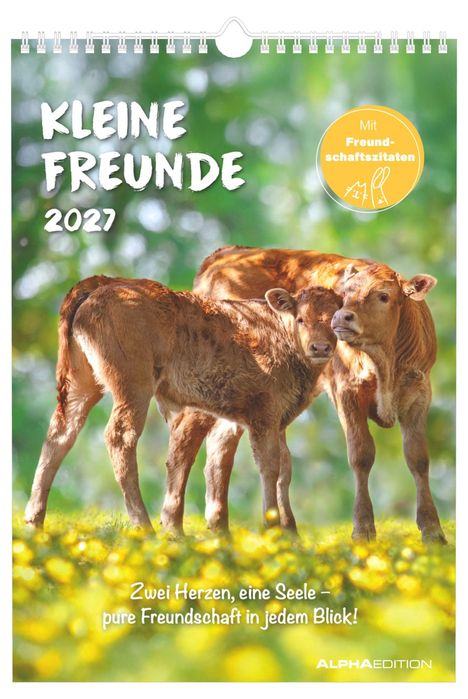 "Kleine Freunde 2027. Zwei Herzen, eine Seele – pure Freundschaft in jedem Blick!" Zwei Kälber stehen nah beieinander auf einer Wiese.