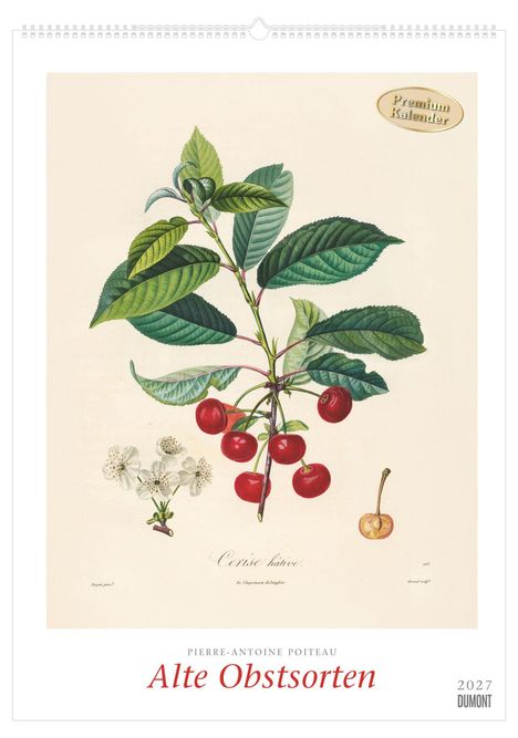 "Alte Obstsorten", Illustration von Kirschzweig, Blüten, Früchte; Text: "Premium Kalender", 2027, Pierre-Antoine Poiteau.