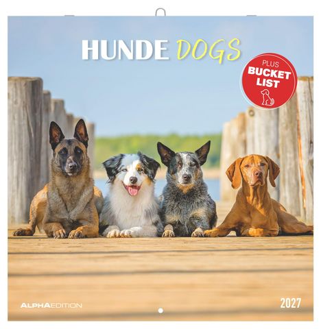 "HUNDE DOGS" und "PLUS BUCKET LIST". Vier Hunde auf einem Holzsteg mit blauem Himmel. Kalender für 2027.