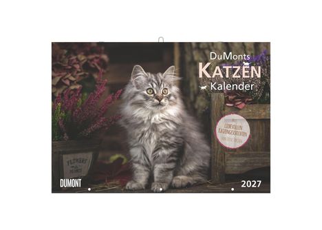 DuMonts Katzen Kalender 2027. Mit liebevollen Katzengeschichten von Jette Jorjan. Eine graue, flauschige Katze sitzt neben Blumen.