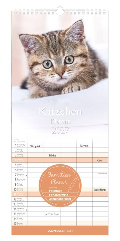 "Kätzchen Kittens 2027" steht groß über einem Bild eines niedlichen, jungen Kätzchens und einem Kalender.