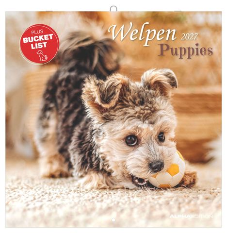 "Welpen 2027 Puppies" und "PLUS BUCKET LIST" auf rotem Kreis. Flauschiger Welpe beißt in gelben Ball auf Teppich.