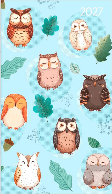 Text: "2027". Illustration von Eulen in verschiedenen Farben und Stilen, umgeben von Blättern auf blauem Hintergrund.