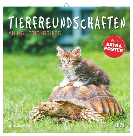 „TIERFREUNDSCHAFTEN“ steht oben, „PLUS EXTRA POSTER“ auf einem roten Kreis. Eine Katze sitzt auf einer Schildkröte.