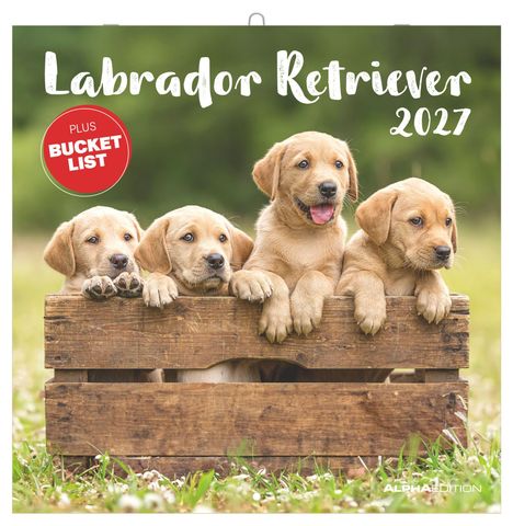 Text: "Labrador Retriever 2027" und "PLUS BUCKET LIST". Vier Welpen schauen aus einer Holzkiste.