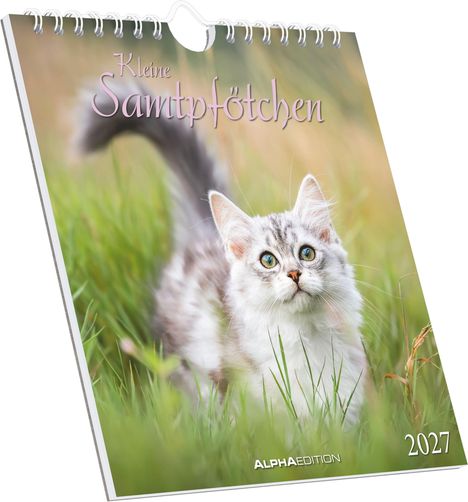 Text: "Kleine Samtpfötchen", "2027", "ALPHA EDITION". Ein flauschiges Kätzchen im Gras, Blick nach oben gerichtet.