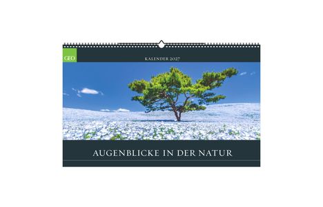 Kalender 2027, Ausehenblicke in der Natur. Ein einsamer Baum auf einer blühenden Wiese unter blauem Himmel.