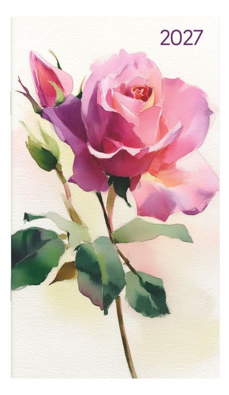 Text "2027". Aquarell-Illustration einer rosa Rose mit Knospe und grünen Blättern.