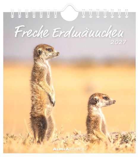 "Freche Erdmännchen 2027". Zwei aufrecht stehende Erdmännchen in einer trockenen Savannenlandschaft.