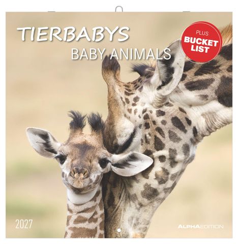 Text: "Tierbabys", "Baby Animals", "Plus Bucket List", "2027". Ein kleines und ein großes Giraffenjunges schmusen.