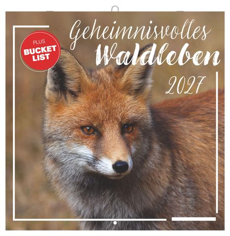 Text: "Geheimnisvolles Waldleben 2027" und "PLUS BUCKET LIST".  
Ein Rotfuchs schaut aufmerksam nach vorne.