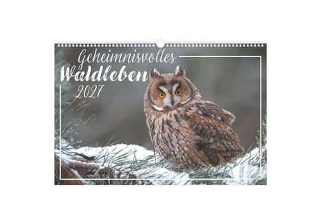 "Geheimnisvolles Waldleben 2027." Eine Eule sitzt auf einem schneebedeckten Ast in einem winterlichen Wald.
