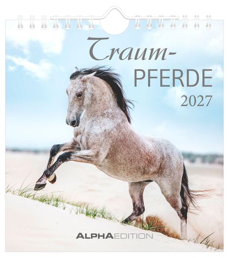„Traum-Pferde 2027“ steht auf einem Kalendercover. Ein Pferd galoppiert dynamisch auf einer sandigen Fläche.