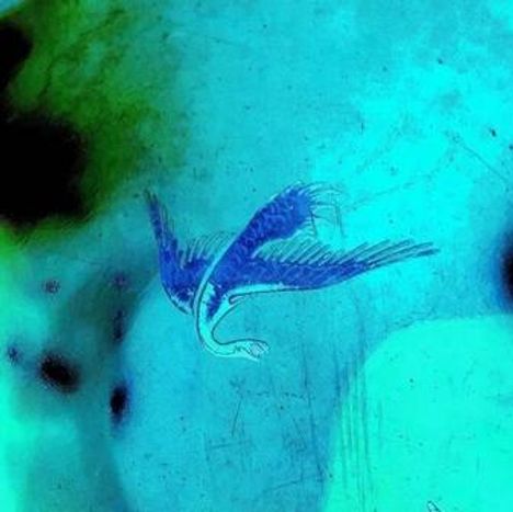 Keine sichtbaren Texte. Illustration eines Vogels in Blau auf türkisfarbenem Hintergrund, der horizontal fliegt.