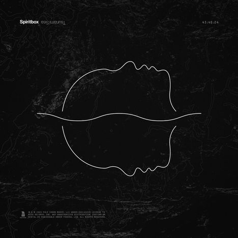 „Spiritbox“, „The Summit Sea“; stilisiertes Profilbild eines Gesichts, das in der Mitte gespiegelt ist.