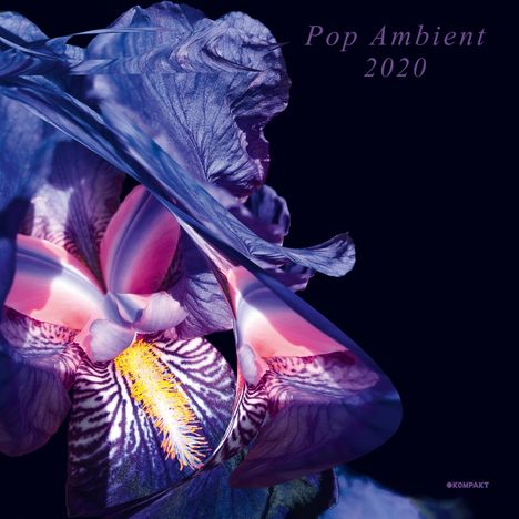 Pop Ambient 2020, CD