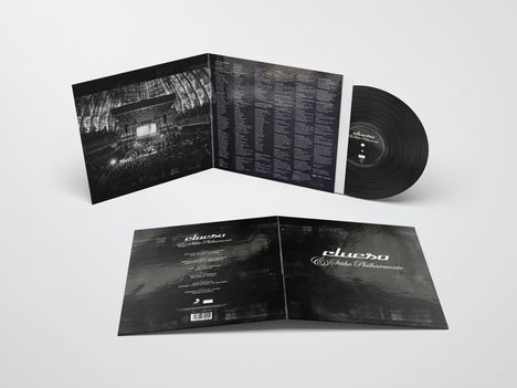 Clueso: Clueso &amp; Stüba Philharmonie, 2 CDs