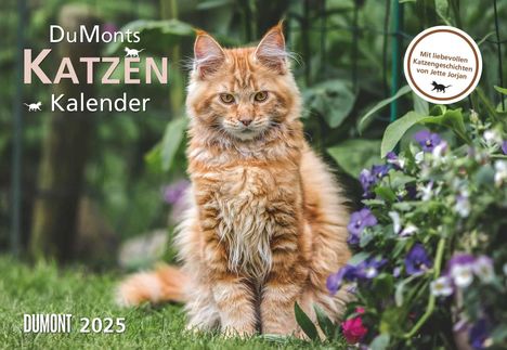 DUMONT - DUMONTS Katzenkalender 2025 Broschürenkalender, 42x29cm, Wandkalender mit kurzweiligen Katzengeschichten von Jette Jorjan, mit Schulferienterminen und Jahresübersicht, Kalender