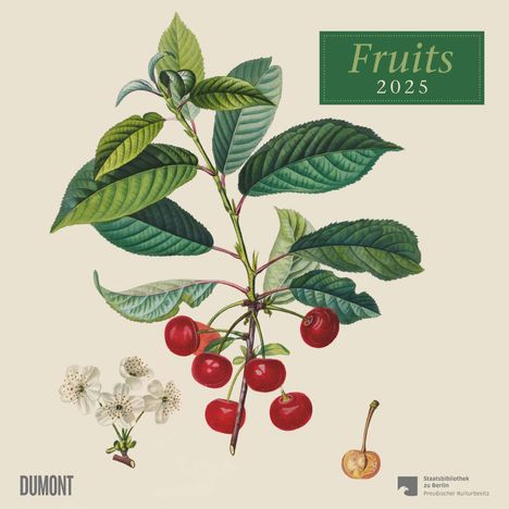 Fruits 2025 ¿ Broschürenkalender ¿ mit historischen Abbildungen alter Obstsorten von Pierre Antoine Poiteau ¿ Format 30 x 30 cm, Kalender