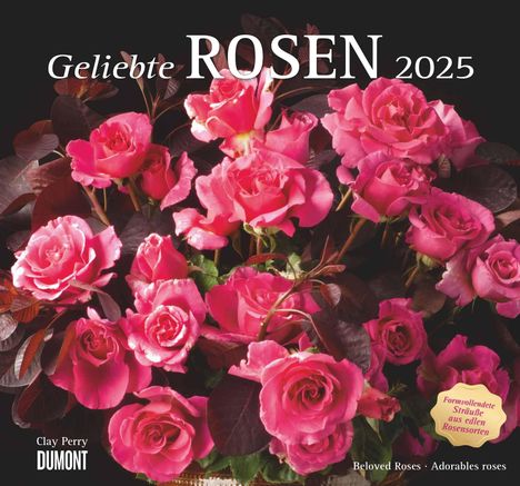 Geliebte Rosen 2025 - DUMONT Wandkalender - mit allen wichtigen Feiertagen - Format 38,0 x 35,5 cm, Kalender