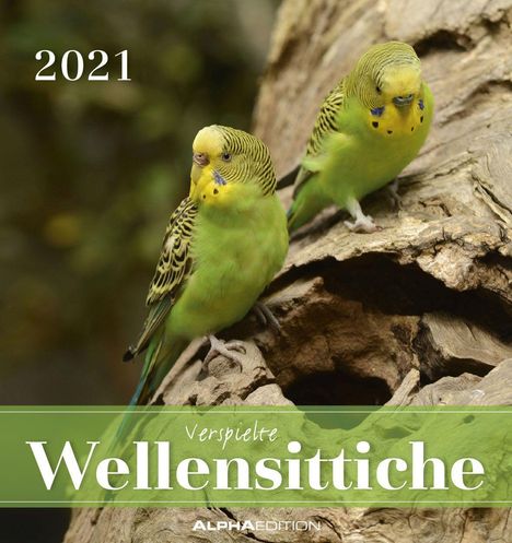 Wellensittiche 2021 - Postkartenkalender, Kalender