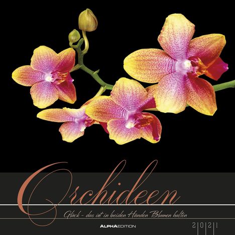 Rainer Haak: Orchideen 2021, Kalender