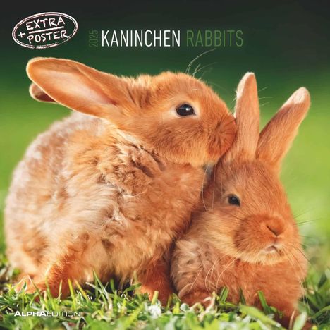 Kaninchen 2025 - Broschürenkalender 30x30 cm (30x60 geöffnet) - Kalender mit Platz für Notizen - Rabbits - Bildkalender - Wandplaner - Wandkalender, Kalender