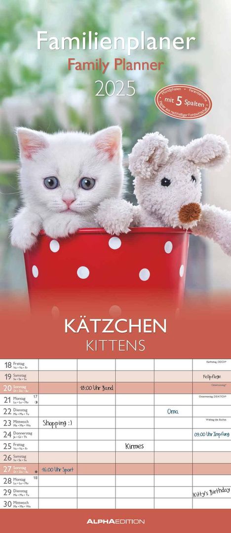 Kätzchen 2025 Familienplaner - Familienkalender - Wandkalender - 19,5x45, Kalender