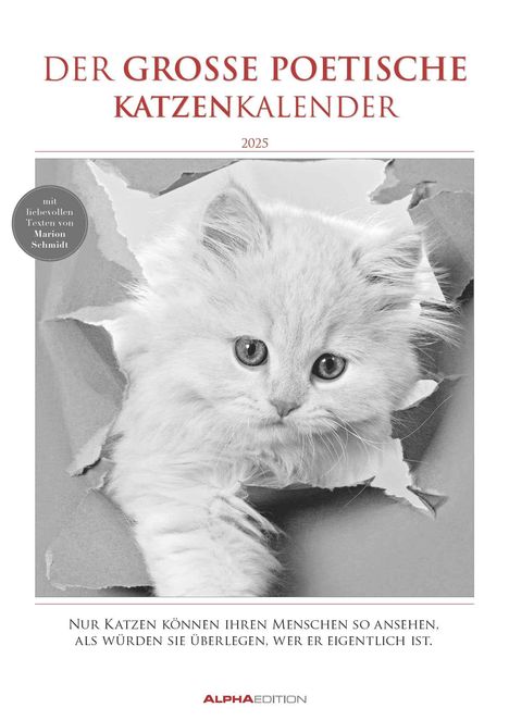 Der große poetische Katzenkalender 2025 - Bildkalender A3 (29,7x42 cm) - mit schönen Zitaten - schwarz-weiß - Tierkalender - Wandplaner - Wandkalender, Kalender