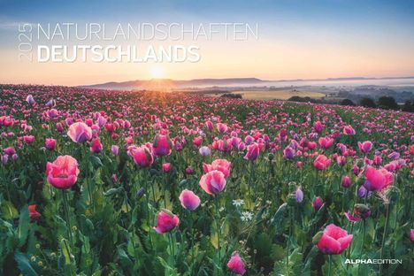 Naturlandschaften Deutschlands 2025 - Bildkalender 49,5x33 cm - die schönsten Landschaftsbilder Deutschlands - Wandkalender - Wandplaner, Kalender