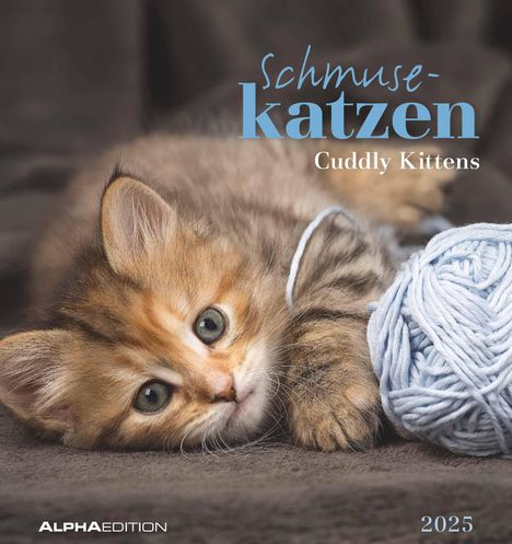 Schmusekatzen 2025 - Postkartenkalender 16x17 cm - Katzen - zum Aufstellen oder Aufhängen - Monatskalendarium - Gadget - Mitbringsel - Alpha Edition, Kalender