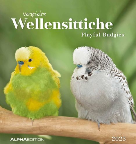 Wellensittiche 2025 - Postkartenkalender 16x17 cm - Budgies - zum Aufstellen oder Aufhängen - Monatskalendarium - Gadget - Mitbringsel - Alpha Edition, Kalender