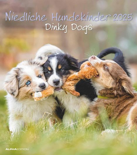 Niedliche Hundekinder 2025 - Wand-Kalender - Tier-Kalender - 30x34, Kalender