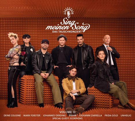 "Sing meinen Song – Das Tauschkonzert", Volume 13. Gruppe von acht Personen vor einer orangen Akustikwand.