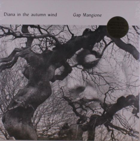 "Diana in the autumn wind", "Gap Mangione". Silhouetten von Bäumen mit kahlen Ästen in einem monochromen Stil.