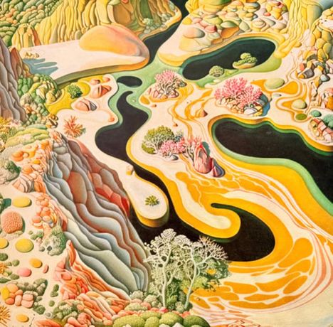 Eine surrealistische Landschaft mit geschwungenen, fließenden Formen und bunten Vegetationselementen.