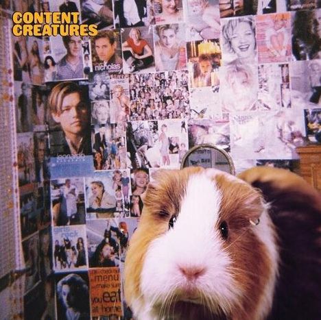 Oben links steht "CONTENT CREATURES". Ein Meerschweinchen vor einer Wand voller Poster und Fotos von Prominenten.