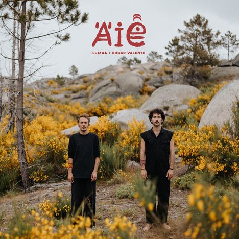 Luizga + Edgar Valente: Aie, LP